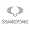 SsangYong