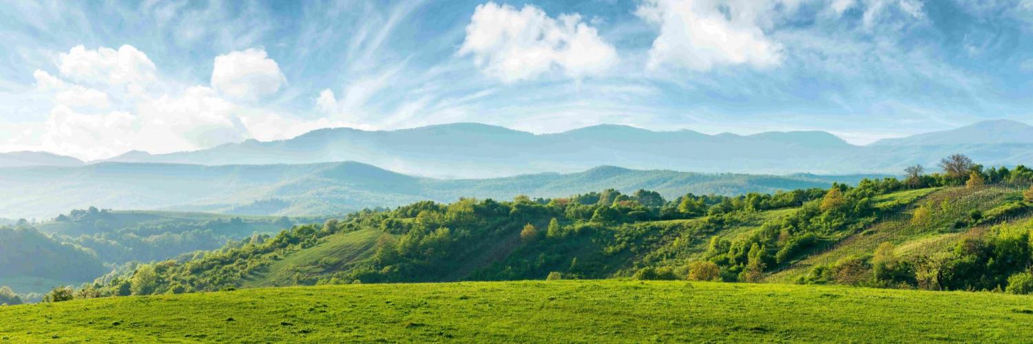 AMO header Arval Mobility Observatory