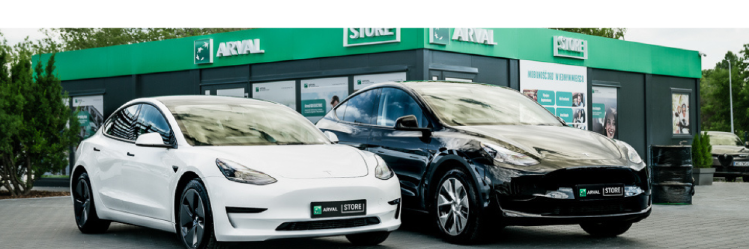tesla 3 vs tesla Y